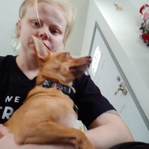 Meet your Posher, Kayla